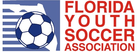 FYSA-2 FYSA-2